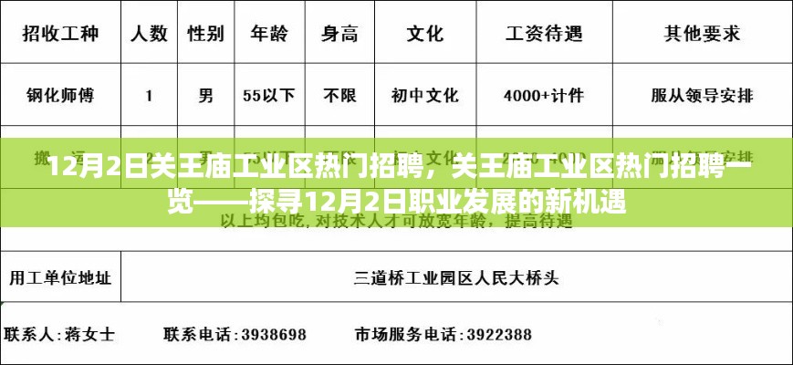 穷鸟入怀 第2页
