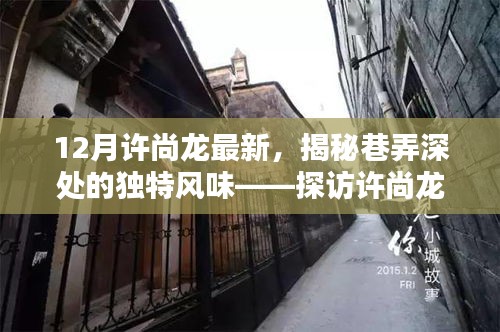 探访许尚龙最新发现的小巷特色小店，巷弄深处的独特风味揭秘