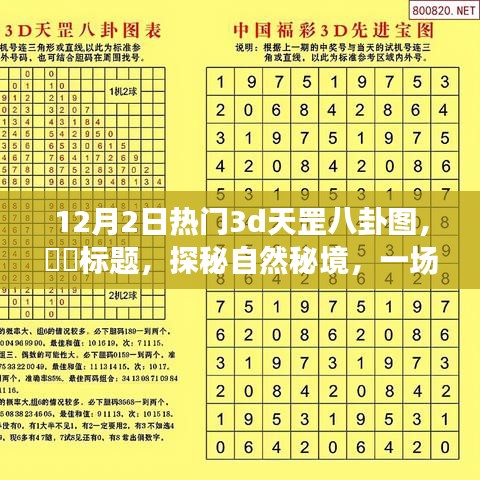 探秘自然秘境，热门3D天罡八卦图的奇妙旅行记