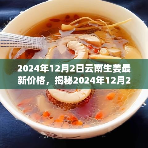 揭秘，2024年12月2日云南生姜最新价格及市场走势解析