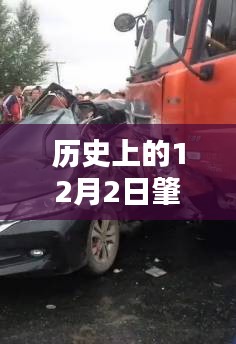 历史上的12月2日肇东急送货司机最新动态与评测，特性、体验、对比及用户群体深度分析