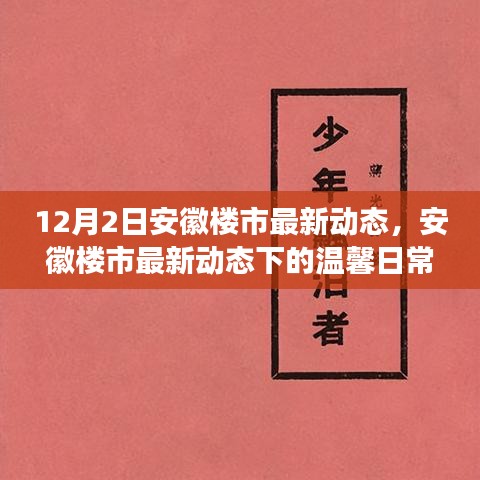 安徽楼市最新动态背后的温馨日常，友情与陪伴的故事，12月2日楼市更新纪实