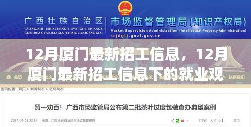 12月厦门最新招工信息解析，就业观察与个人立场探讨