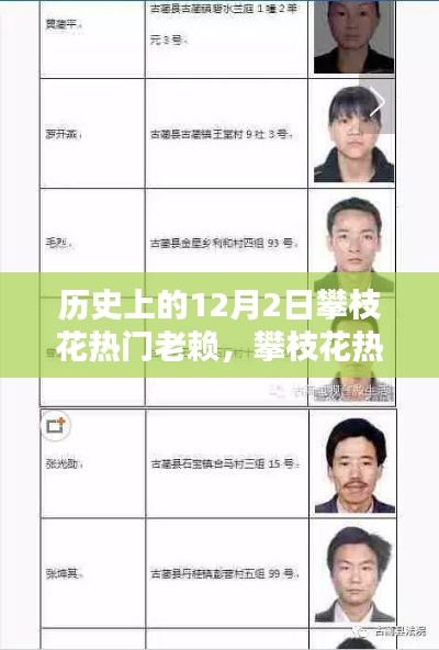 攀枝花热门老赖的历史背景与全面评测，12月2日深度解析