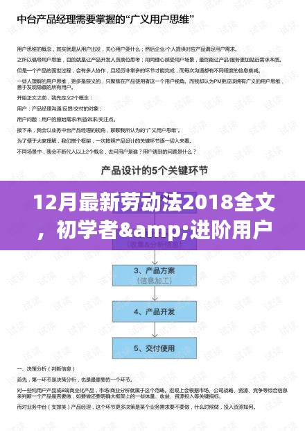 最新劳动法（2018年全文）详解与职场权益保障，初学者与进阶用户必备指南