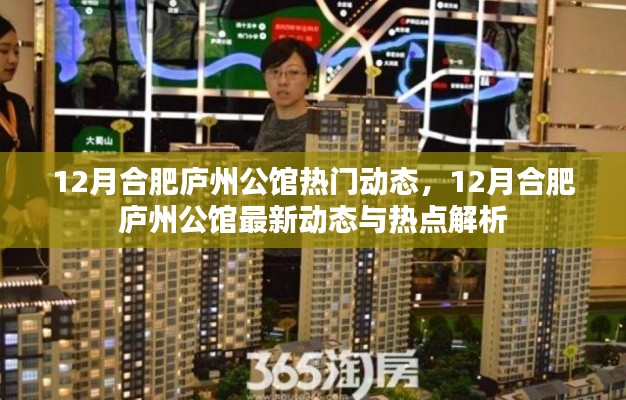 合肥庐州公馆最新动态热点解析，十二月热门动态揭秘