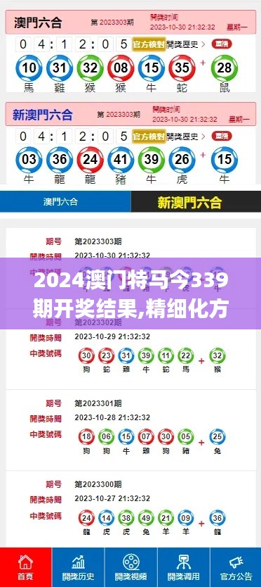 2024澳门特马今339期开奖结果,精细化方案实施_3K44.535-7