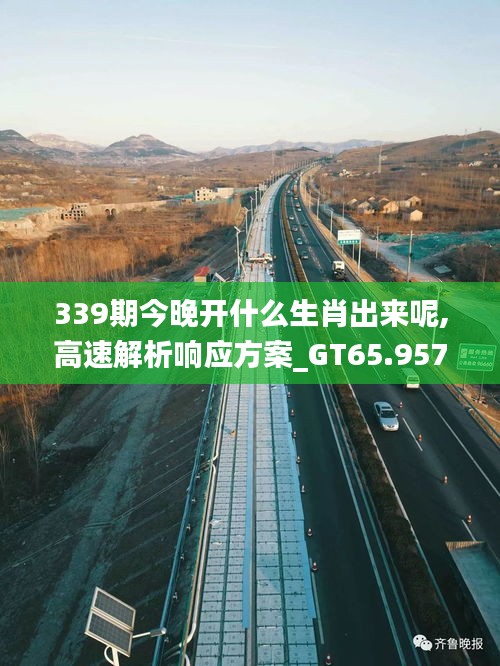 339期今晚开什么生肖出来呢,高速解析响应方案_GT65.957-6