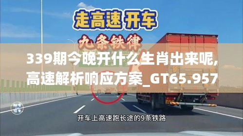 339期今晚开什么生肖出来呢,高速解析响应方案_GT65.957-6