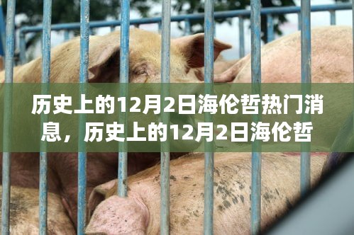 历史上的12月2日海伦哲热门消息深度解析与学习之旅