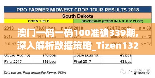 澳门一码一码100准确339期,深入解析数据策略_Tizen132.954-4