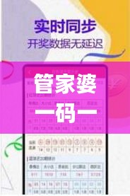 管家婆一码一肖100准339期,实地数据验证实施_创意版16.606-2