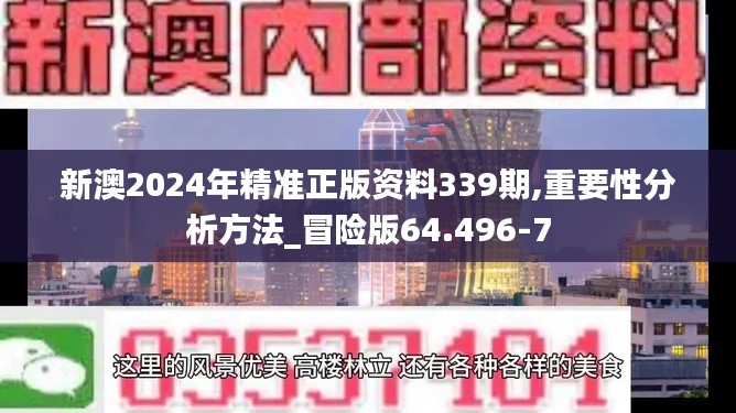 新澳2024年精准正版资料339期,重要性分析方法_冒险版64.496-7