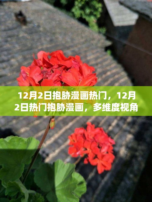 多维度视角下的观点碰撞与深度剖析，揭秘热门抱胁漫画背后的故事