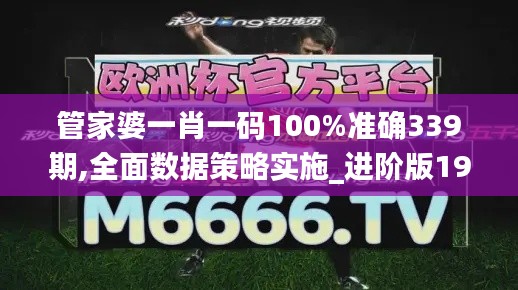 管家婆一肖一码100%准确339期,全面数据策略实施_进阶版19.114-2