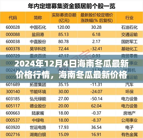 2024年12月4日海南冬瓜最新价格行情展望，市场视角与观点
