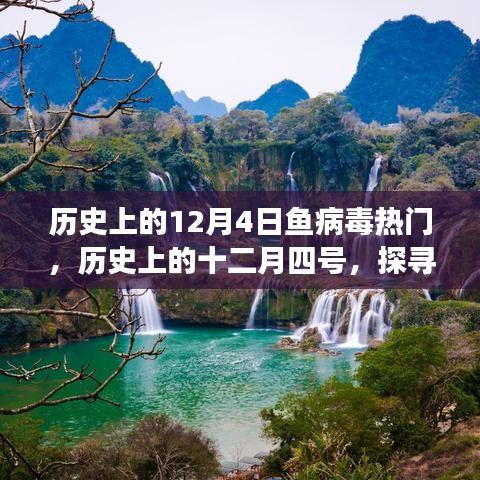探寻鱼病毒背后的自然秘境之旅，历史上的十二月四号回顾与探索