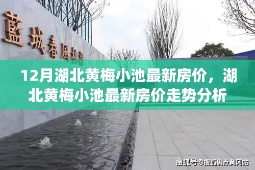 湖北黄梅小池最新房价走势深度解读与观点阐述，最新数据与趋势分析