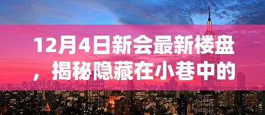 揭秘新会宝藏楼盘，小巷中的独特小店