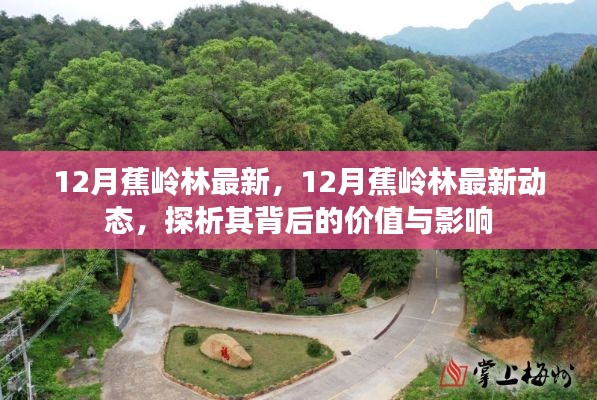 揭秘蕉岭林最新动态背后的价值及影响