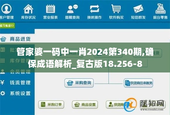 管家婆一码中一肖2024第340期,确保成语解析_复古版18.256-8