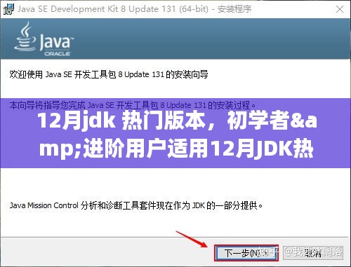 12月JDK热门版本安装与使用指南，适合初学者与进阶用户的学习指南