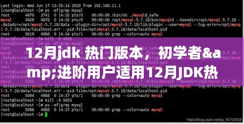 12月JDK热门版本安装与使用指南,适合初学者与进阶用户的学习指南