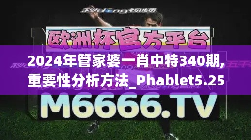2024年管家婆一肖中特340期,重要性分析方法_Phablet5.250-3