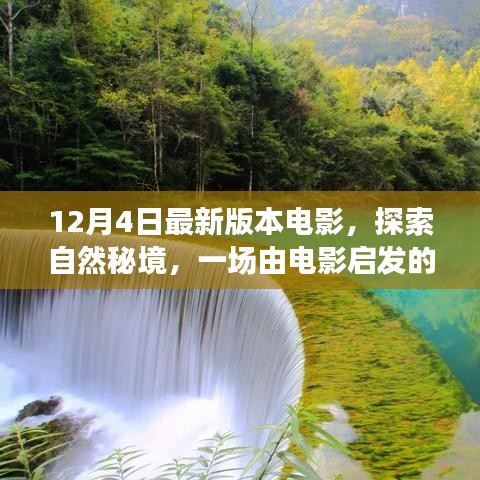 12月4日最新电影,自然秘境的宁静之旅,探索自然之美