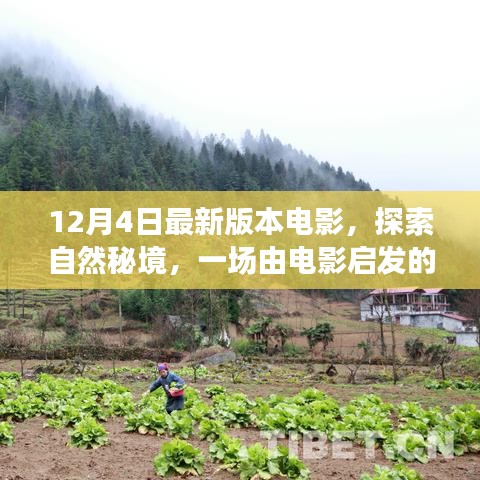 自然秘境