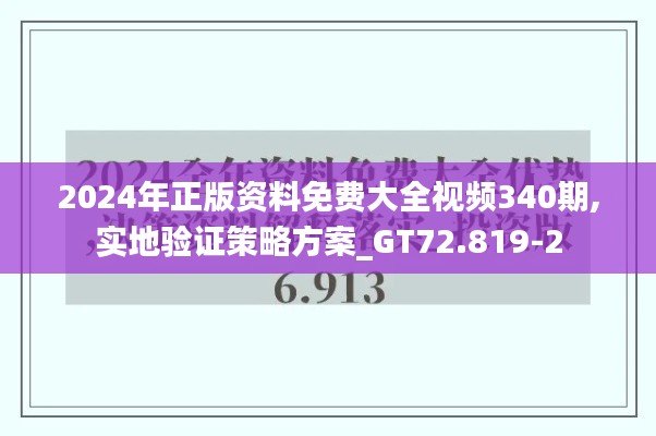 2024年正版资料免费大全视频340期,实地验证策略方案_GT72.819-2
