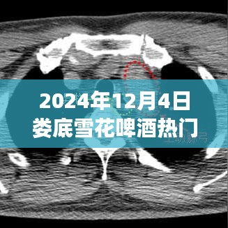 娄底雪花啤酒招聘盛启,热门职位与产品深度测评报告