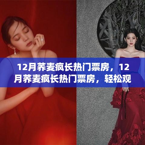 12月荞麦疯长热门票房,12月荞麦疯长热门票房,轻松观影指南与购票全攻略