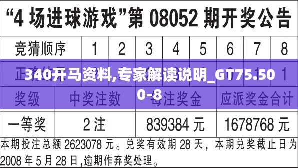 340开马资料,专家解读说明_GT75.500-8