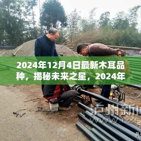 揭秘未来之星，深度解析2024年最新木耳品种的未来趋势