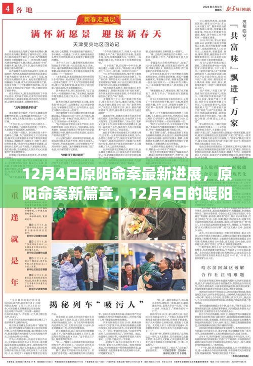 原阳命案最新进展，暖阳下的奇迹之旅揭秘新篇章