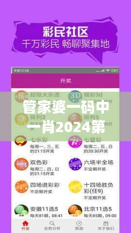 管家婆一码中一肖2024第340期,实地验证执行数据_The71.329-3
