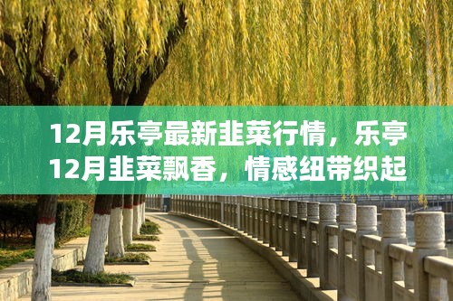 情感纽带