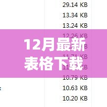 12月最新表格下载,提升工作效率的必备工具