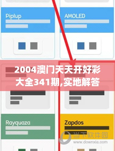 2004澳门天天开好彩大全341期,实地解答解释定义_动态版8.479