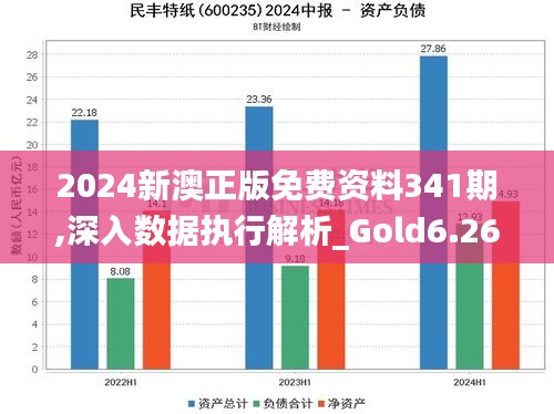 2024新澳正版免费资料341期,深入数据执行解析_Gold6.268