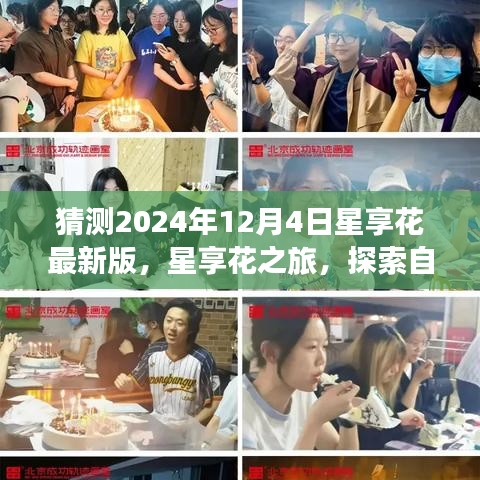 星享花探索之旅，预测星享花最新版，追寻自然美景与内心宁静的平和境界（2024年12月4日）