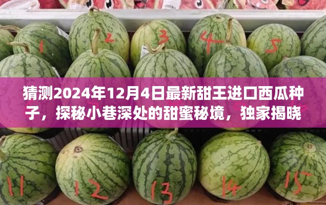 探秘甜蜜秘境，独家揭晓2024年最新甜王进口西瓜种子揭秘小巷深处的秘密宝藏