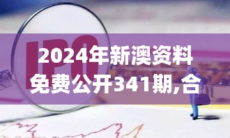 2024年新澳资料免费公开341期,合理执行审查_专属版6.326