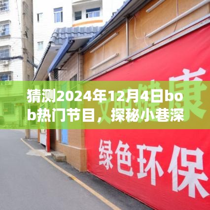 探秘小巷深处的隐藏宝藏，揭秘2024年12月4日bob热门节目特色小店之旅