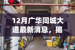 广华同城大道隐藏小巷的神秘小店,冬日惊喜探索之旅