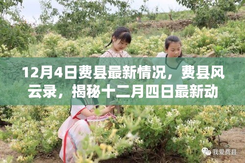 揭秘费县风云录，最新动态尽在掌握