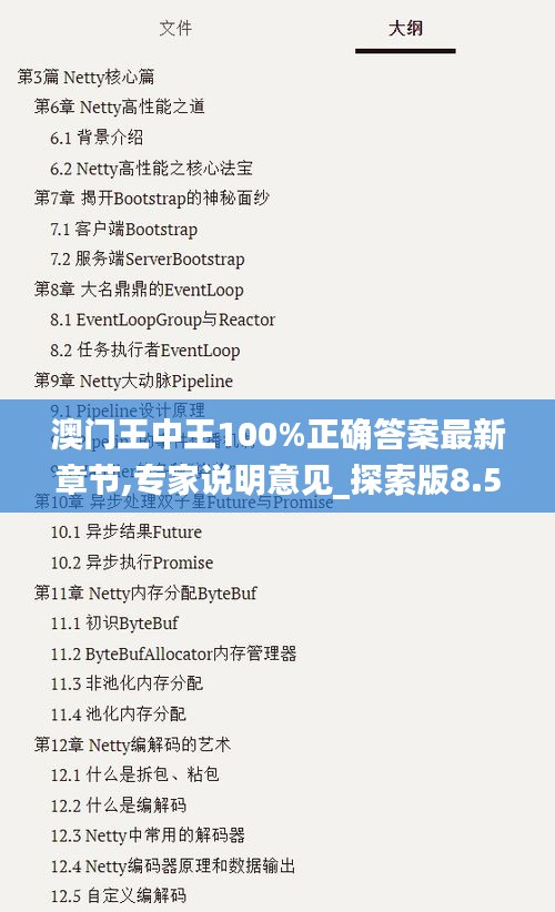 澳门王中王100%正确答案最新章节,专家说明意见_探索版8.532