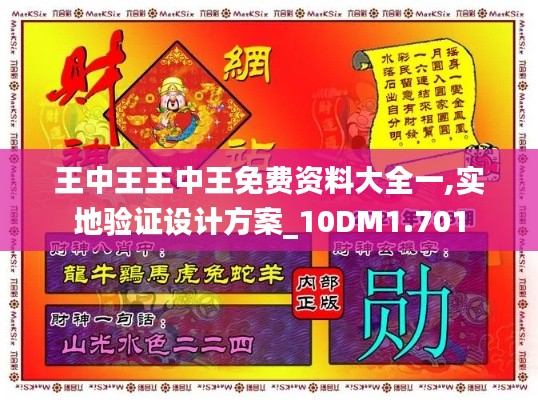 王中王王中王免费资料大全一,实地验证设计方案_10DM1.701