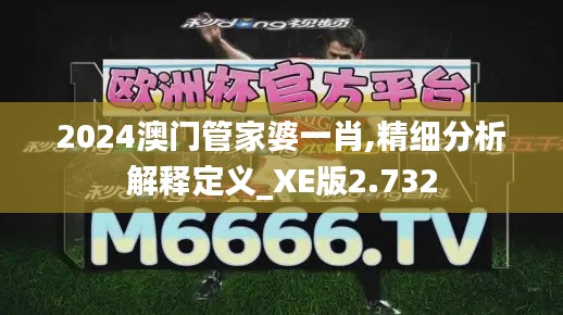 2024澳门管家婆一肖,精细分析解释定义_XE版2.732